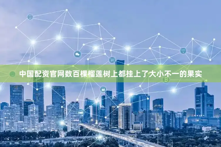 中国配资官网数百棵榴莲树上都挂上了大小不一的果实