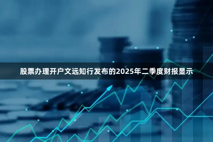 股票办理开户文远知行发布的2025年二季度财报显示