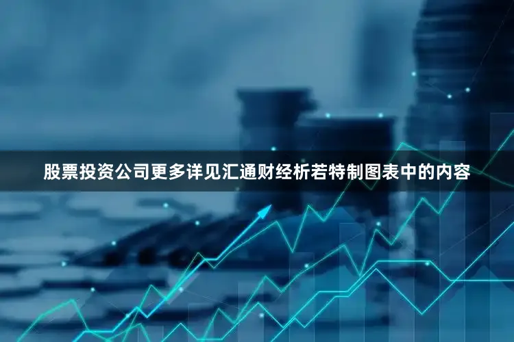 股票投资公司更多详见汇通财经析若特制图表中的内容