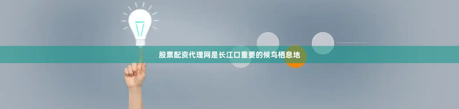 股票配资代理网是长江口重要的候鸟栖息地